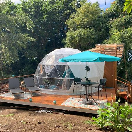 Manta Soul Jungle Geodome 호텔 케알라케쿠아 외부 사진