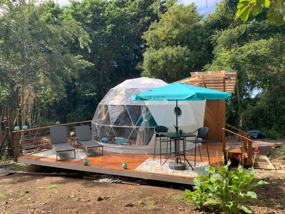 Manta Soul Jungle Geodome 호텔 케알라케쿠아 외부 사진